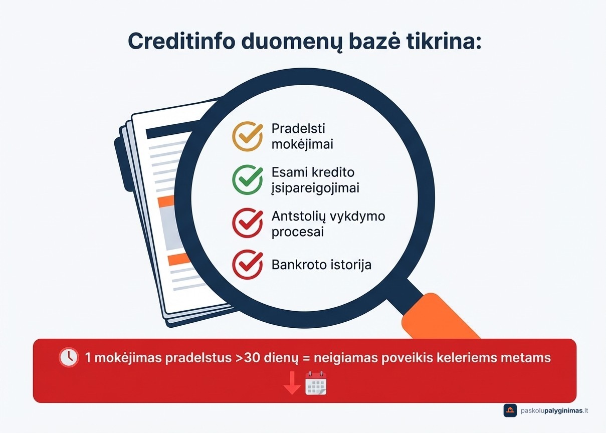 Ką tikrina paskolų davėjai Lietuvoje per Creditinfo: kredito istorijos patikros sąrašas