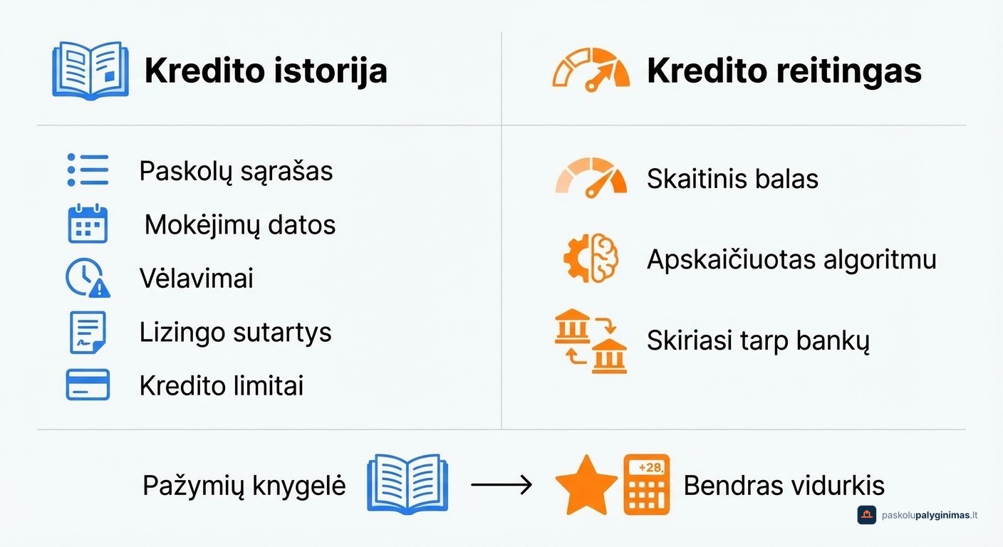 Kredito istorija ir kredito reitingas skirtumai – palyginamoji lentelė Lietuvoje